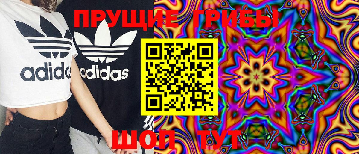 Галлюциногенные грибы MAGIC MUSHROOMS  Псилоцибиновые грибы Cubensis  Вход с VPN  продажа наркотиков  Ефремов 