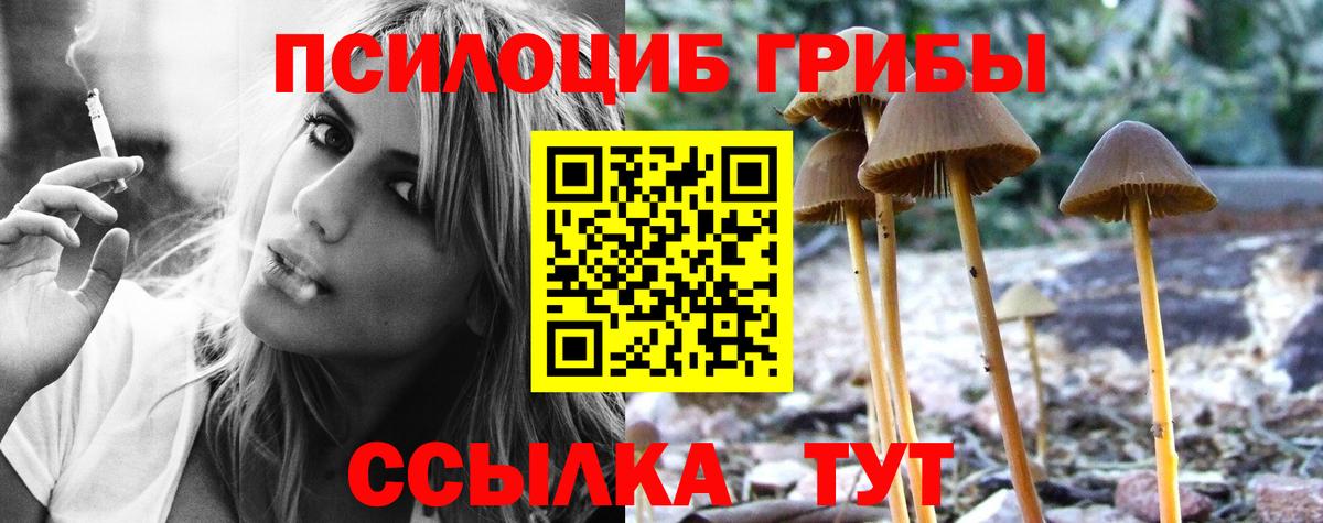 Псилоцибиновые грибы прущие грибы Ефремов